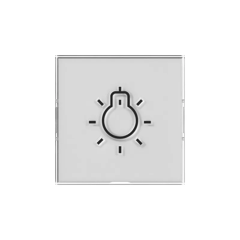 Gira Wippe BSF+Symb.Licht groß tastbar Sys.55 nt