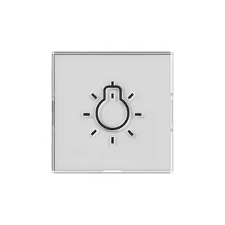 Gira Wippe BSF+Symb.Licht groß tastbar Sys.55 nt
