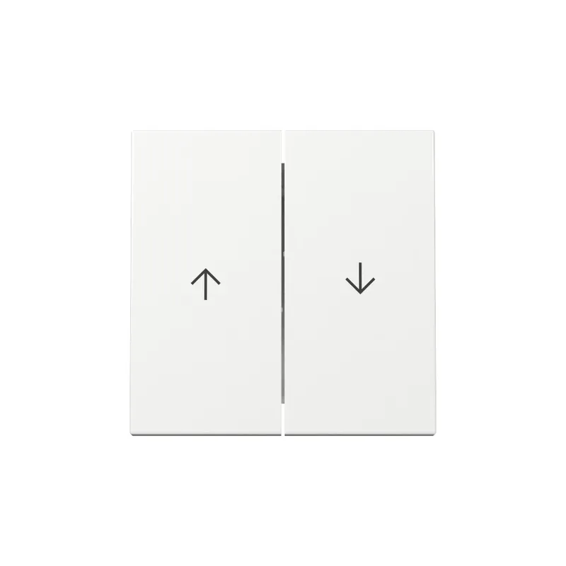 Gira Wippe 329403 2f Pfeil Sys.55 rws