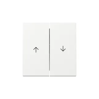 Gira Wippe 329403 2f Pfeil Sys.55 rws