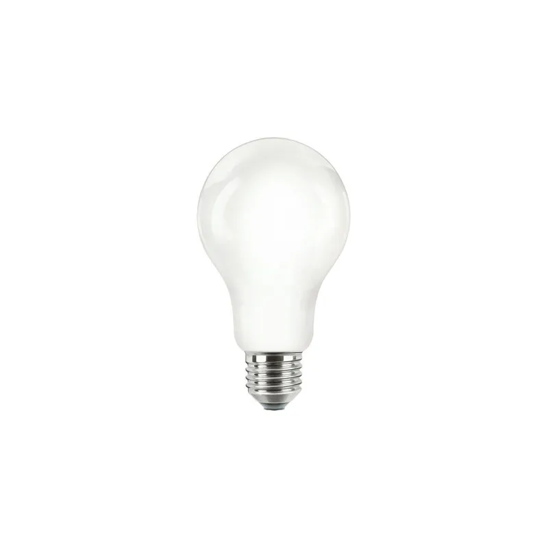 Philips LED Leuchtmittel CorePro LEDBulbND 120W E27 A67 840 FR G