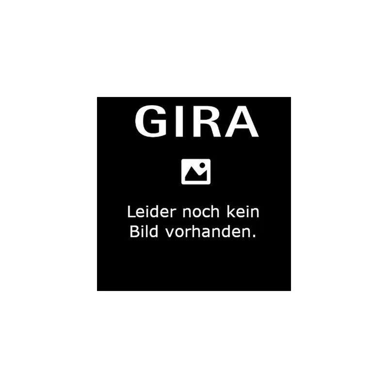 GIRA Steckklemme 8391000 ext.Tastsens.4 Komfort Zubehör