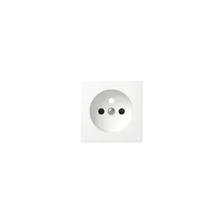 GIRA Abdeckung 494503 SDO Erdstift SH Sys55 rws