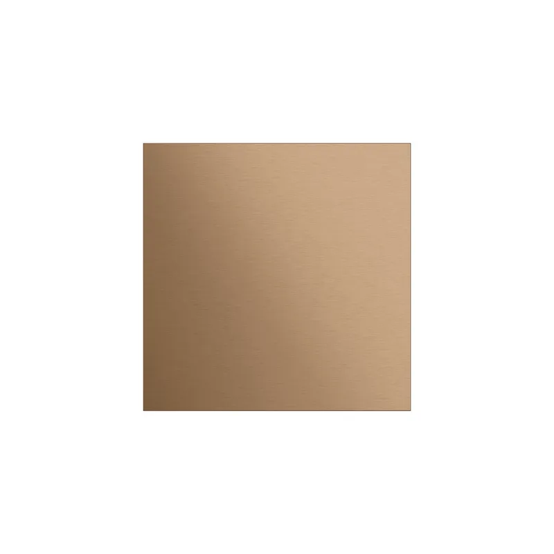 GIRA Frontplatte 5554921 Info-/Blindmodul Sys106 br