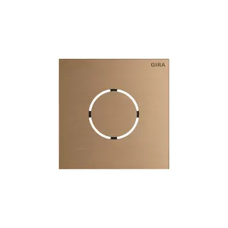 GIRA Frontplatte 5578921 Sprachmodul Sys106 br