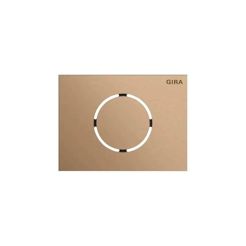 GIRA Frontplatte 5579921 Türstationsmodul Sys106 br