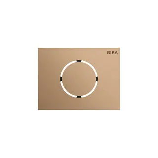 GIRA Frontplatte 5579921 Türstationsmodul Sys106 br