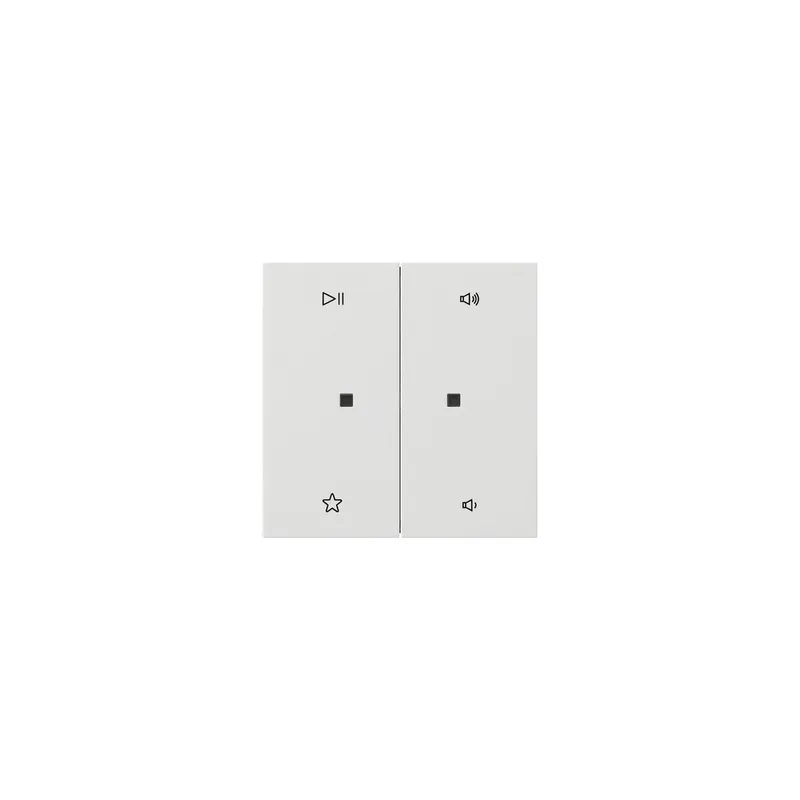 GIRA Wippe 5384112 2f Audiostrg Flächenschalter rws