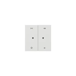 GIRA Wippe 5384112 2f Audiostrg Flächenschalter rws