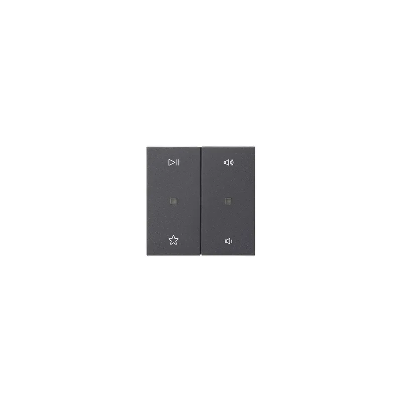 GIRA Wippe 538428 2f Audiostrg Sys55 anthr