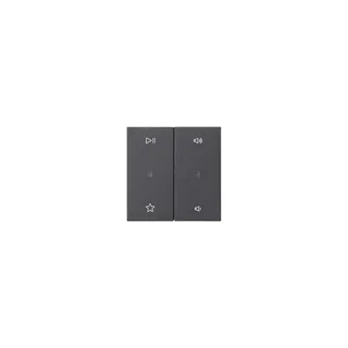 GIRA Wippe 538428 2f Audiostrg Sys55 anthr