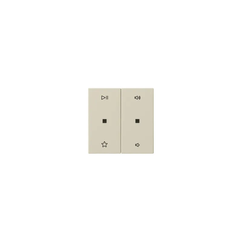 GIRA Wippe 538401 2f Audiostrg Sys55 cws