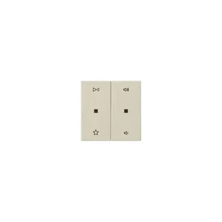 GIRA Wippe 538401 2f Audiostrg Sys55 cws