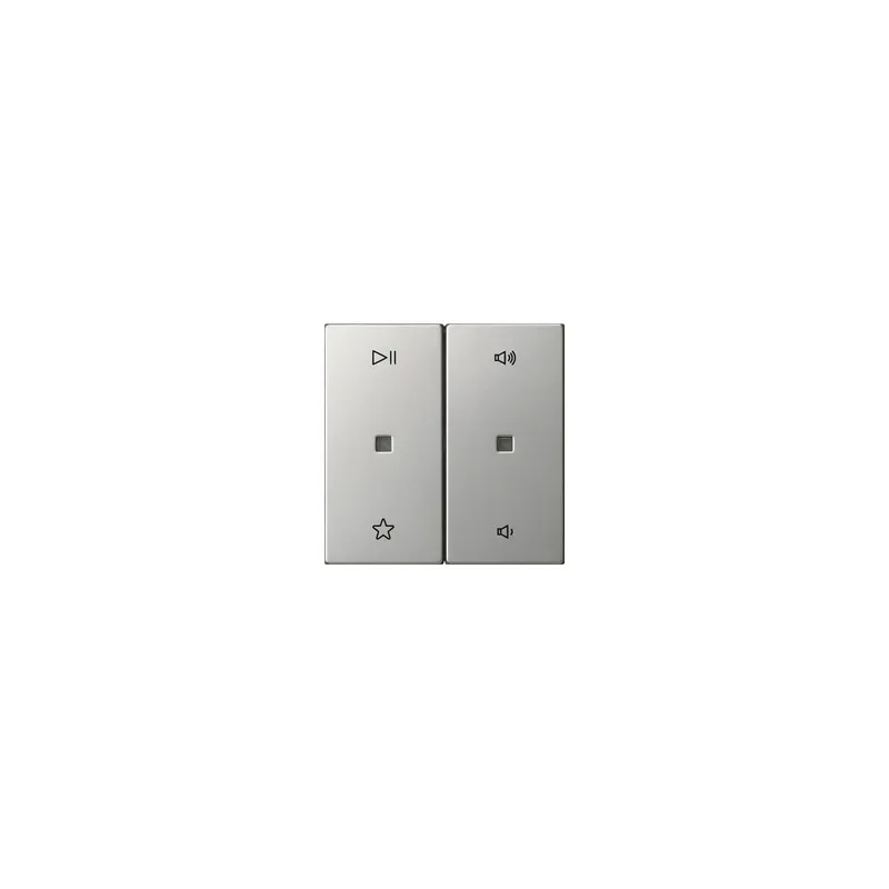 GIRA Wippe 5384600 2f Audiostrg Sys55 ES