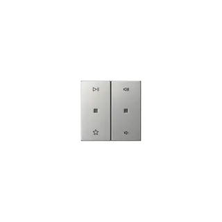 GIRA Wippe 5384600 2f Audiostrg Sys55 ES