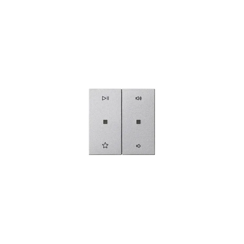 GIRA Wippe 538426 2f Audiostrg Sys55 F alu