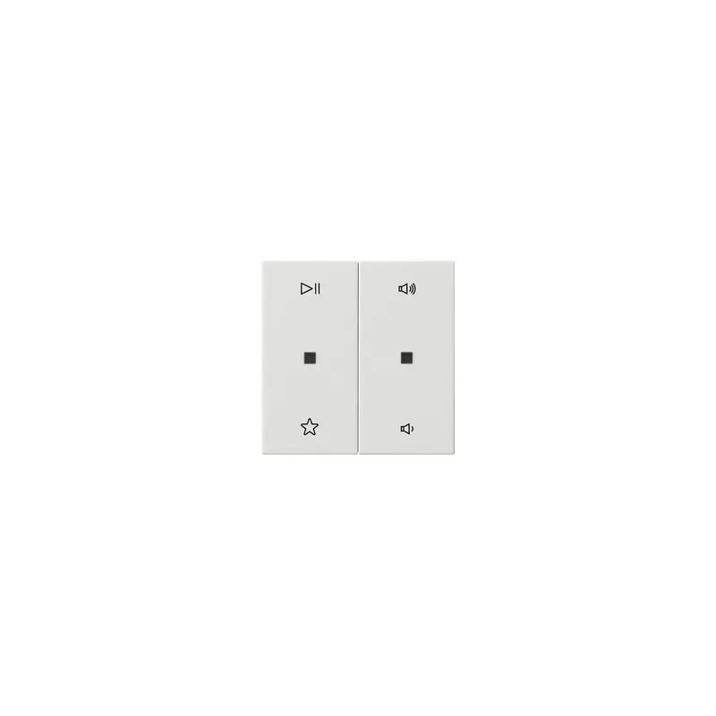GIRA Wippe 538403 2f Audiostrg Sys55 rws