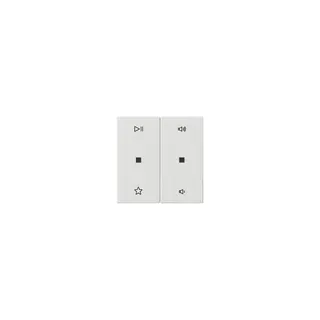 GIRA Wippe 538403 2f Audiostrg Sys55 rws
