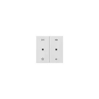 GIRA Wippe 538427 2f Audiostrg Sys55 rws m