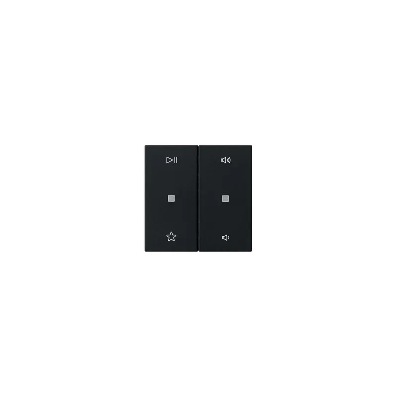 GIRA Wippe 5384005 2f Audiostrg Sys55 sw m