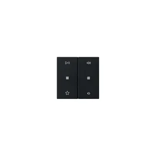 GIRA Wippe 5384005 2f Audiostrg Sys55 sw m