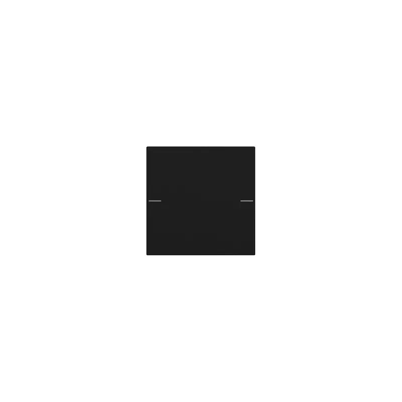 GIRA Wippenset 5751005 1f Tastsens.4 Sys55 sw m