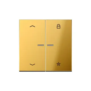 Jung Steuertaste FMGO1701P eNet Funk