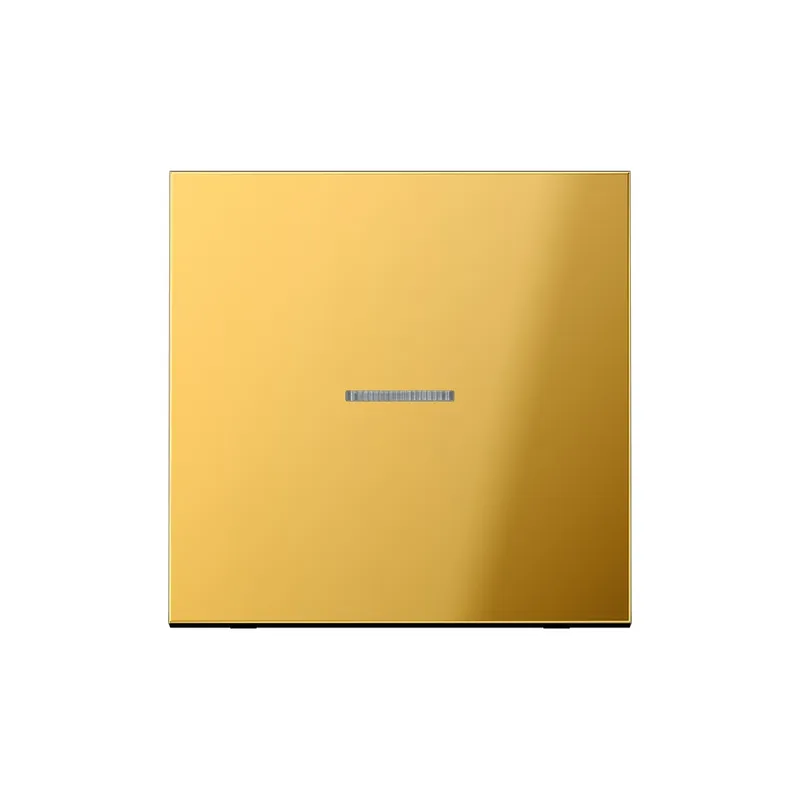 Jung Funk-Steuertaste FMGO1700 eNet Standard