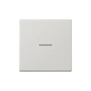 Jung Funk-Steuertaste FMLS1700LG eNet Standard