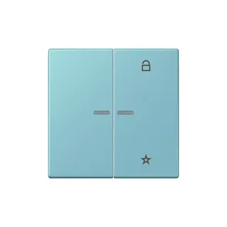 Jung Funk-Steuertaste eNet Standard LC32032