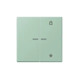 Jung Funk-Steuertaste eNet Standard LC32041