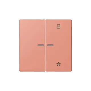 Jung Funk-Steuertaste eNet Standard LC32111