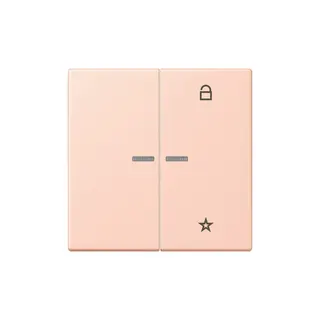 Jung Funk-Steuertaste eNet Standard LC32112