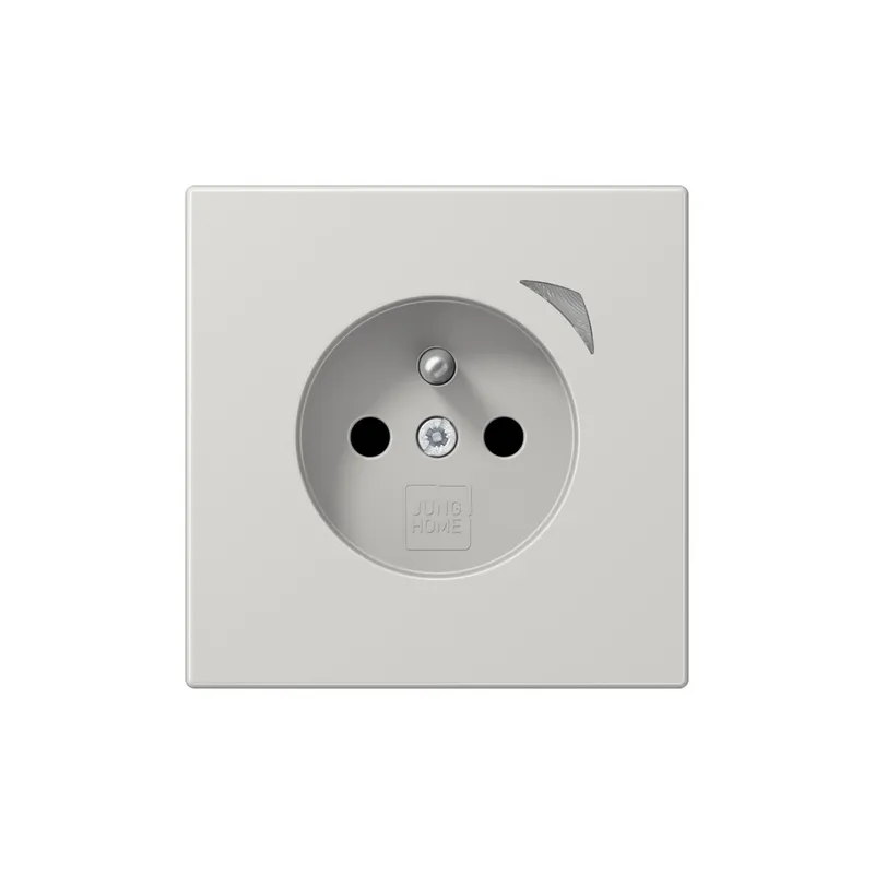 Jung Steckdose BTLS1521FSELG HOME Energy franz