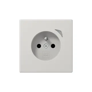 Jung Steckdose BTLS1521FSELG HOME Energy franz
