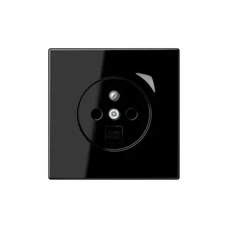 Jung Steckdose BTLS1521FSESW HOME Energy franz