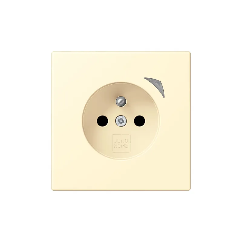 Jung Steckdose BTLC1521FSE201 HOME Energy franz