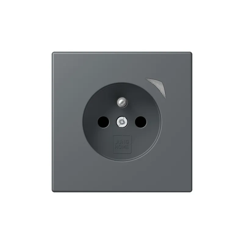 Jung Steckdose BTLC1521FSE202 HOME Energy franz