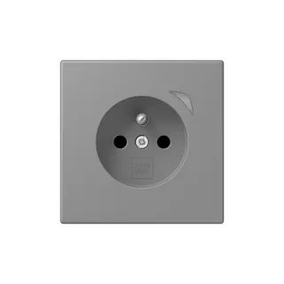 Jung Steckdose BTLC1521FSE203 HOME Energy franz
