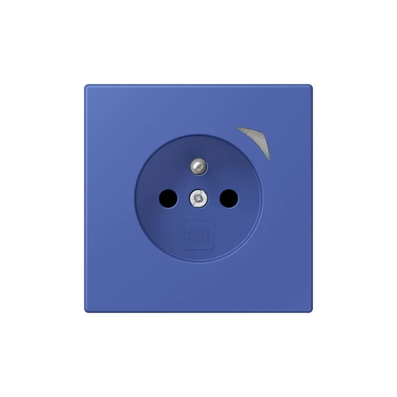 Jung Steckdose BTLC1521FSE206 HOME Energy franz