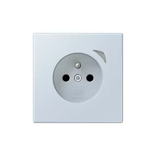 Jung Steckdose BTLC1521FSE209 HOME Energy franz
