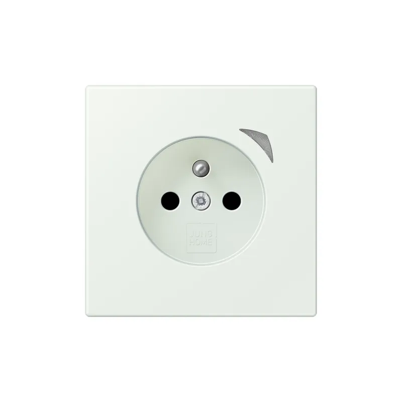 Jung Steckdose BTLC1521FS210 HOME franz belg