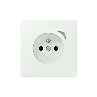 Jung Steckdose BTLC1521FSE210 HOME Energy franz