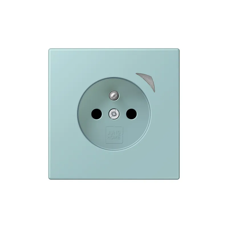 Jung Steckdose BTLC1521FS214 HOME franz belg