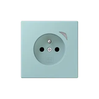 Jung Steckdose BTLC1521FSE214 HOME Energy franz