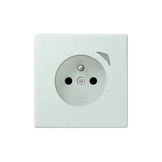 Jung Steckdose BTLC1521FSE215 HOME Energy franz