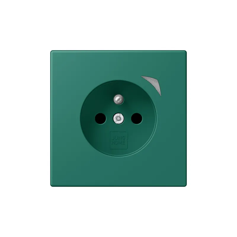 Jung Steckdose BTLC1521FS216 HOME franz belg