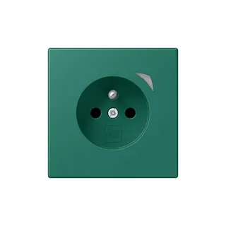 Jung Steckdose BTLC1521FSE216 HOME Energy franz
