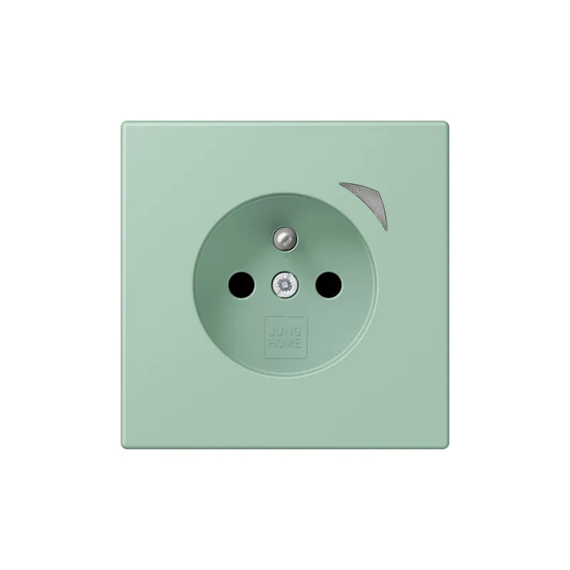Jung Steckdose BTLC1521FS217 HOME franz belg