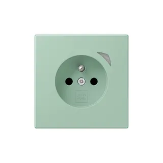 Jung Steckdose BTLC1521FSE217 HOME Energy franz